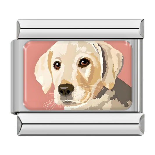 Labrador-Hund